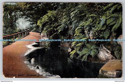 R763909 Newcastle Jesmond Dene The Fern Bank Ruddock Newcastle on Tyne No 3282 1