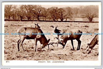 R767790 Leicestershire Bradgate Park A W Holmes Leicester