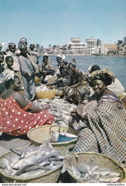 SENEGAL - Marchandes de poissons 1969