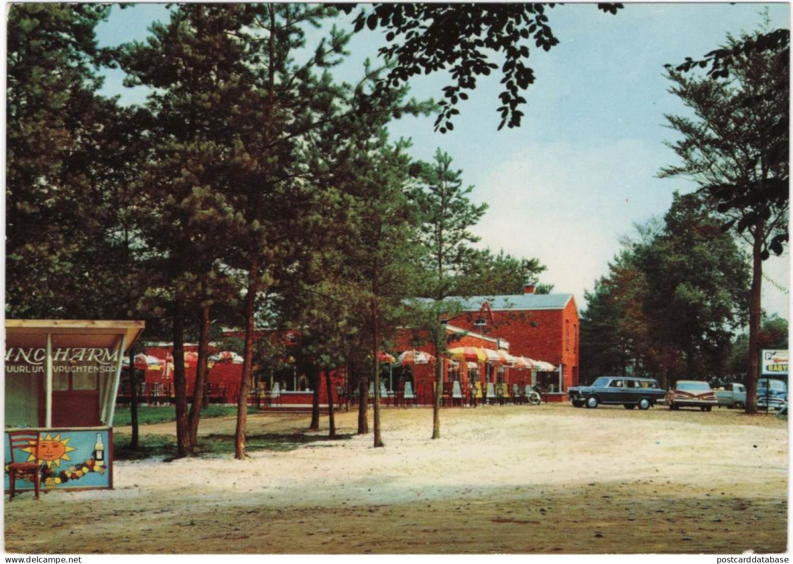 Westmeerbeek - Nieuw paradijs - & old cars