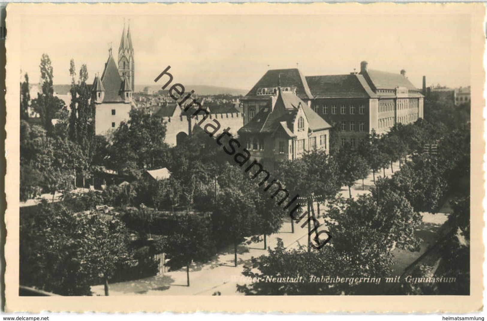 Wiener Neustadt - Babenbergerring - Gymnasium - Foto-Ansichtskarte