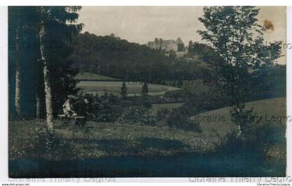 carte photo WILTZ n°8 Le château