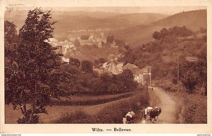 Luxembourg - WILTZ - Bellevue - Ed. J. Kaemmerer