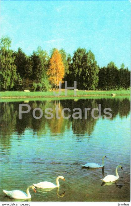 Minsk - The Botanical Gardens of Academy of Sciences of Belarus - birds - swan - 1977 - Belarus USSR - unused