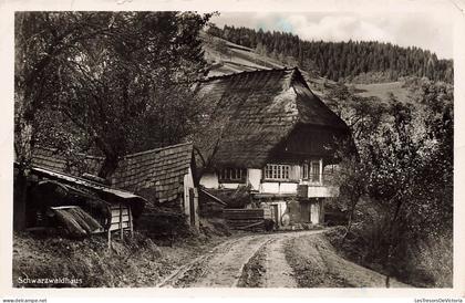 [-5%] MONDE - Schwazwaldhaus - Carte Postale Ancienne