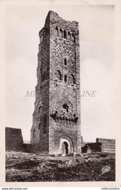 ALGERIA - Tlemcen - Tour de Mansourah - Real Photo