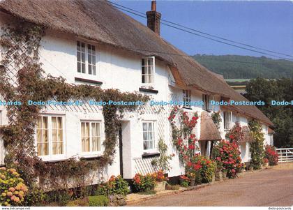 D000126 Sidbury. Devon. Typical Devon thatch. Owen H. Brogan. Beric Tempest