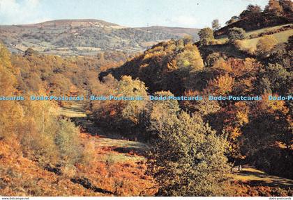 D087527 Breconshire. Llangenny Near Crickhowell. J. Arthur Dixon