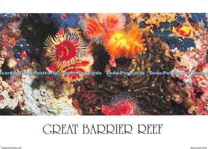 D096359 Great Barrier Reef. North Queensland. Peer Productions. R. and V. Taylor