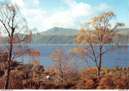 D102734 Loch Ness from Inverfarigaig. Inverness shire. Dixon