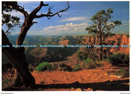 D150716 Arizona. Grand Canyon National Park. South Rim View of the Grand Canyon