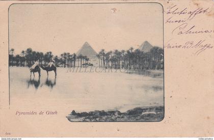 EGYPT - Caire, Pyramides de Gizeh 1901