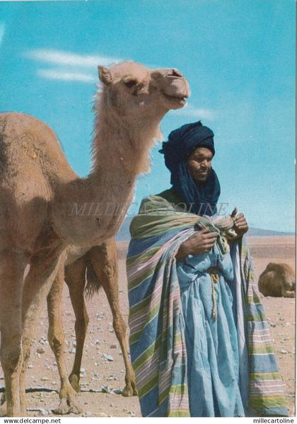 MOROCCO - Hommes bleus du sahara