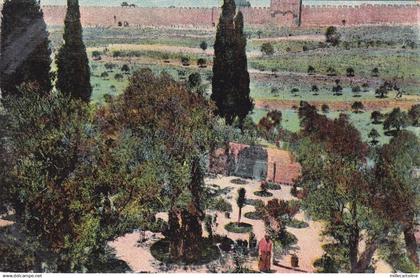 PALESTINE - Gethsemane