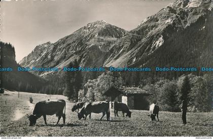 R013992 Pralognan la Vanoise. Les Paturages de l Iseran et le petit Mont Blanc.