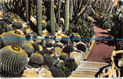 R051509 Jardin Exotique de Monaco. Le Pont des Echinocactus Grusonii. RP