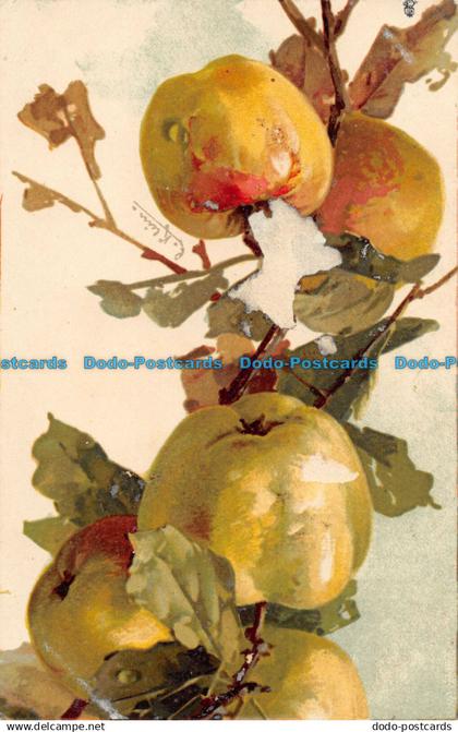 R057584 Old Postcard. Apples. Tuck. Fruit Series