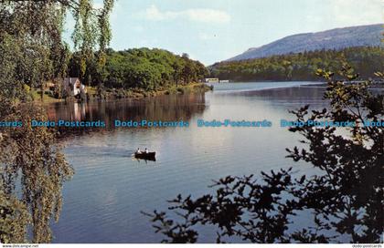 R082439 Loch Faskally. Perthshire. Scotland. Dexter