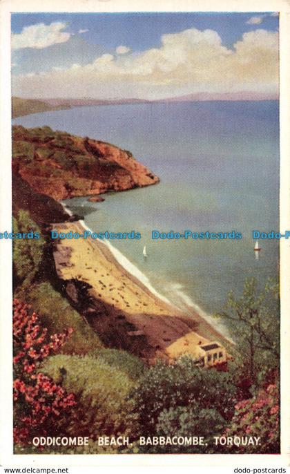 R087133 Oddicombe Beach. Babbacombe. Torquay. Torquay Times and Devonshire Press