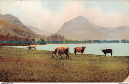 R099842 Head of Buttermere