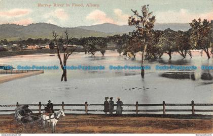 R103915 Murray River in Flood. Albury. W. T. P