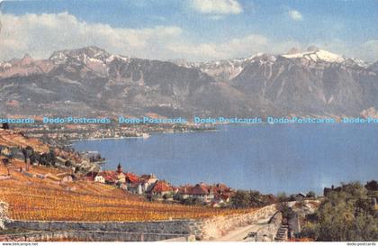 R178456 Lavaux. Lac Leman