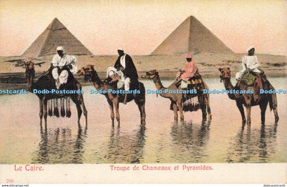 R210445 Le Caire Troupe de Chameaux et Pyramides