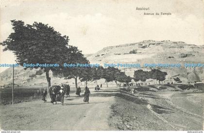 R602879 Assiout Avenue du Temple Ephtimios Freres Port Said Dr Trenkler Egypte