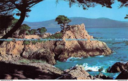 R623991 Midway Point Overlooking crescent shaped Carmel Bay Mike Roberts Bell Ma