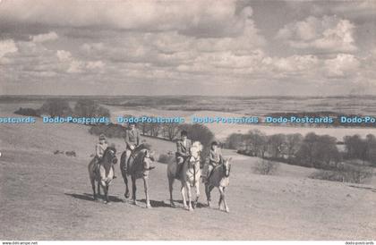 R717693 Buckinghamshire Riding Near Ivinghoe The Times