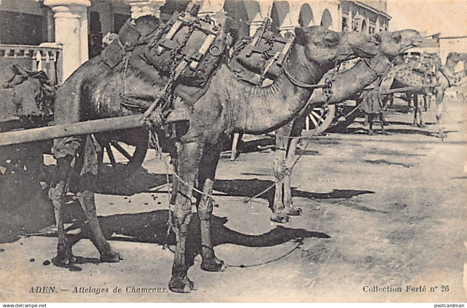 Yemen - ADEN - Camel cart - Publ. Ferté 26