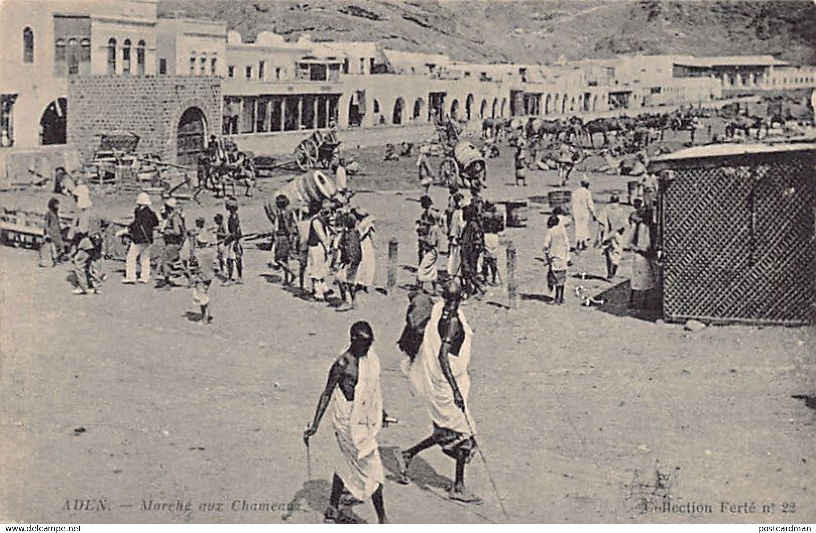 Yemen - ADEN - Camel Market - Publ. Ferté 22