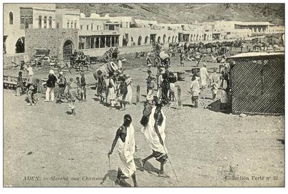 YEMEN - ADEN - Marché aux Chameaux - MARCHE