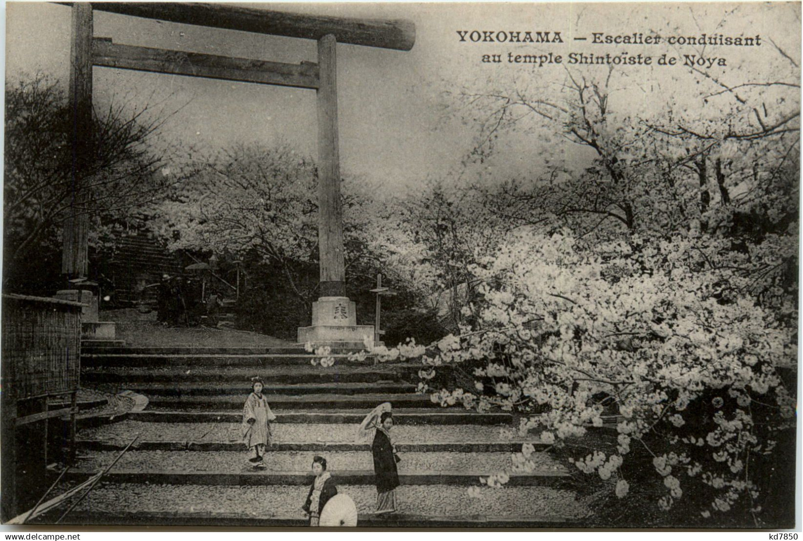 Yokohama