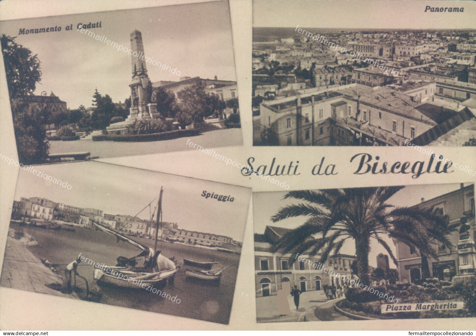 z69 cartolina saluti da bisceglie provincia di bari