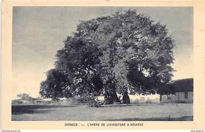 Zambia - SESHEKE - Livingstone's Tree - Publ. Société des Missions Evangéliques