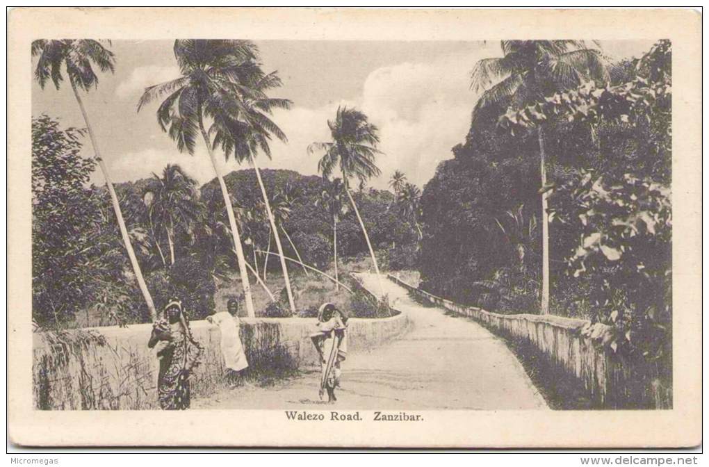 ZANZIBAR - Walezo Road