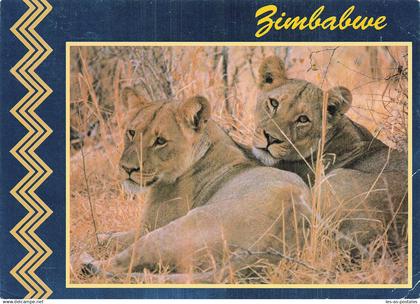 ZIMBABWE ZIMBABWE LIONNE  HWANGE