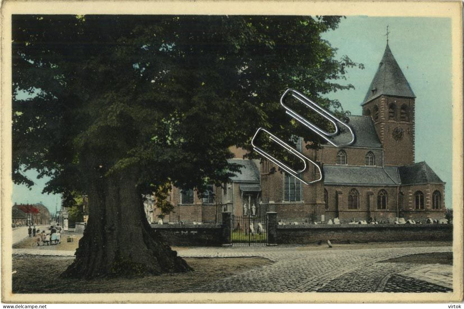 ZOERSEL : eeuwenoude linde  &  kerk  ( met zegel )