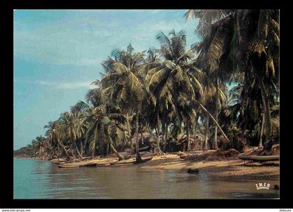 Afrique Noire - Afrique en Couleurs - 8215 - Plage de cocotiers - CPM - Voir Scans Recto-Verso