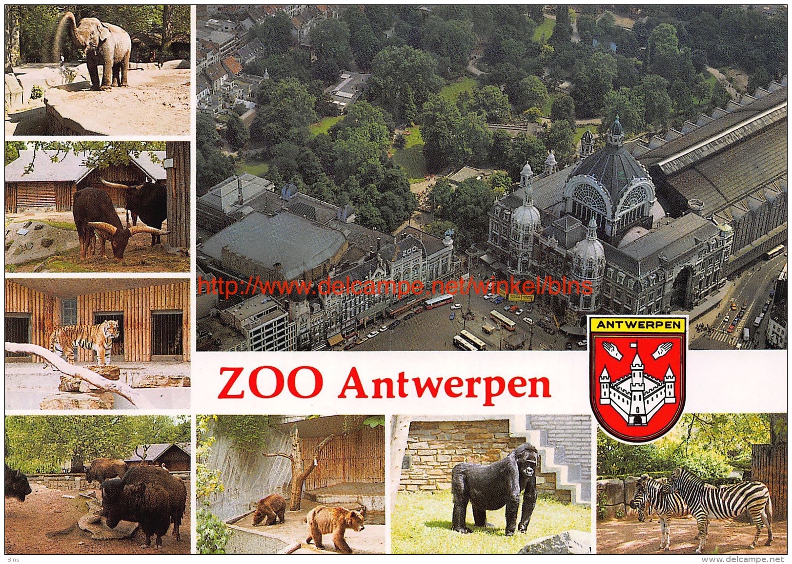 Zoo Antwerpen