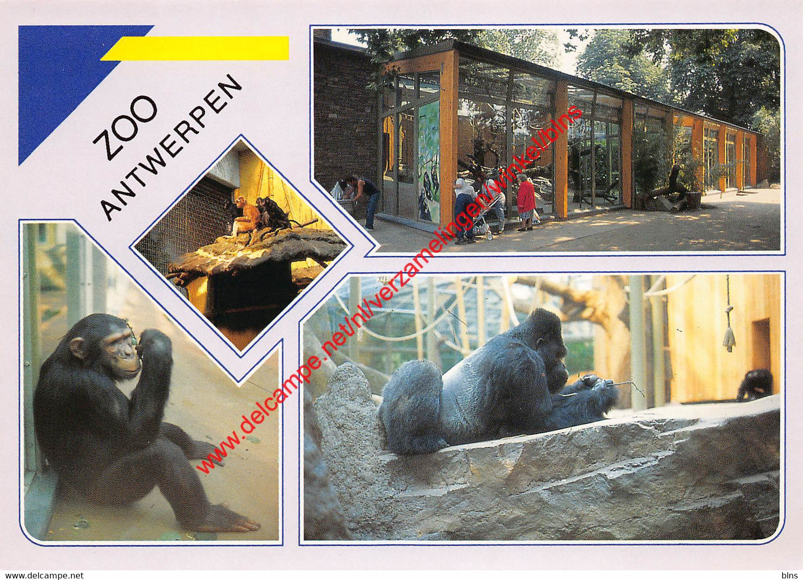 Zoo Antwerpen - dierentuin - Antwerpen