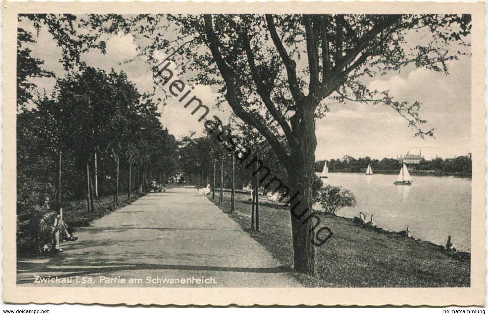 Zwickau - Partie am Schwanenteich - Verlag Franz Landgraf Zwickau