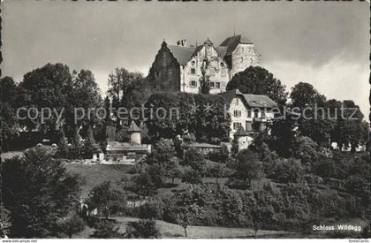 11667565 Wildegg Schloss Wildegg