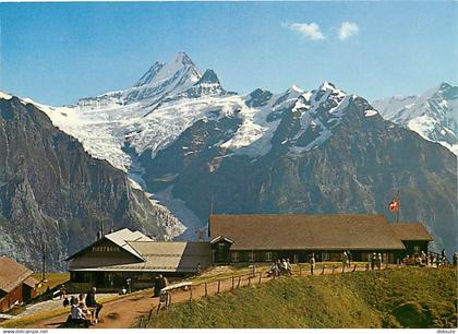 Suisse - BE Berne - Grindeiwald - Firstbahn Bergstation - Schreckhorn - CPM - Carte Neuve - Voir Scans Recto-Verso