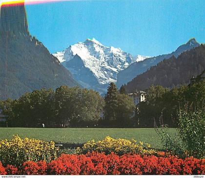 Suisse - BE Berne - Interlaken - Jungfrau - CPM - Carte Neuve - Voir Scans Recto-Verso