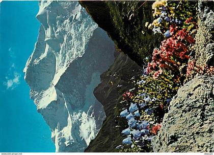 Suisse - BE Berne - Jungfrau - Fleurs - CPM - Carte Neuve - Voir Scans Recto-Verso