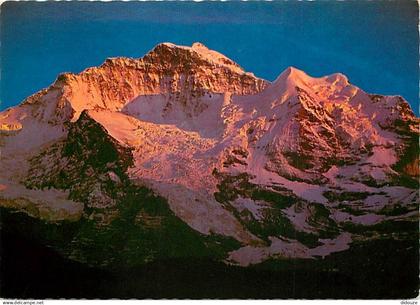 Suisse - BE Berne - Jungfrau - Sonnenuntergang - CPM - Carte Neuve - Voir Scans Recto-Verso