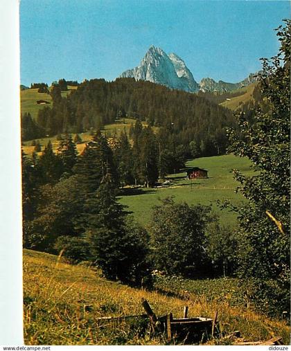 Suisse - BE Berne - Kalberhoni bei Gstaad - CPM - Carte Neuve - Voir Scans Recto-Verso