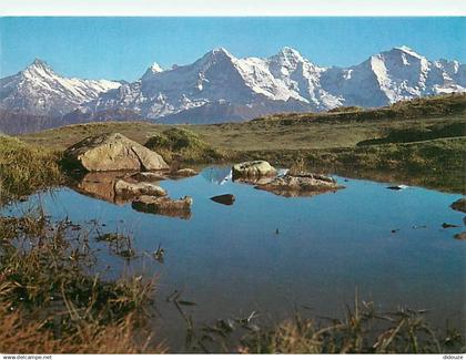 Suisse - BE Berne - Niederhorn - Lac de Montagne - CPM - Carte Neuve - Voir Scans Recto-Verso